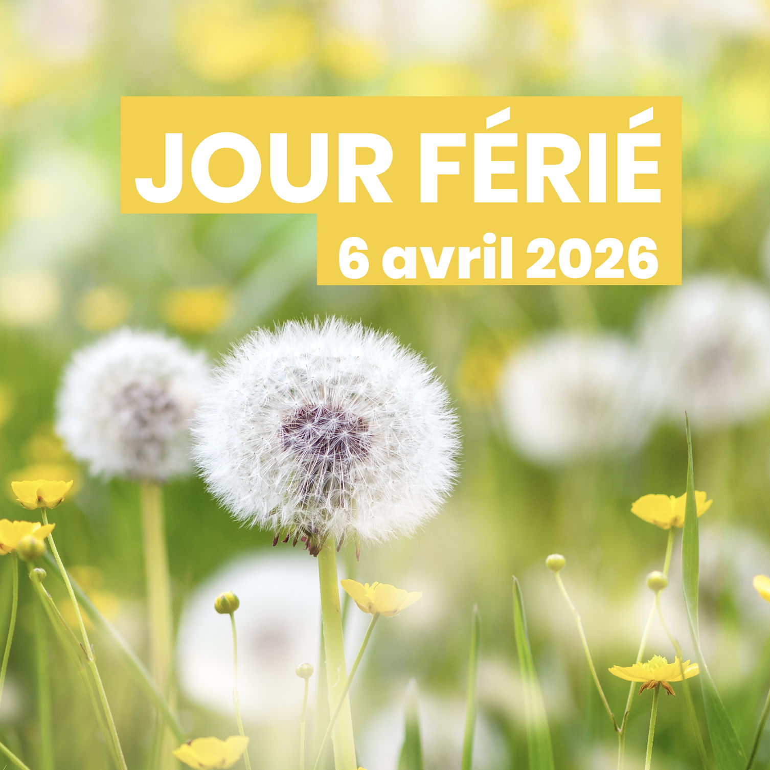 Jour férié – 6 avril 2026